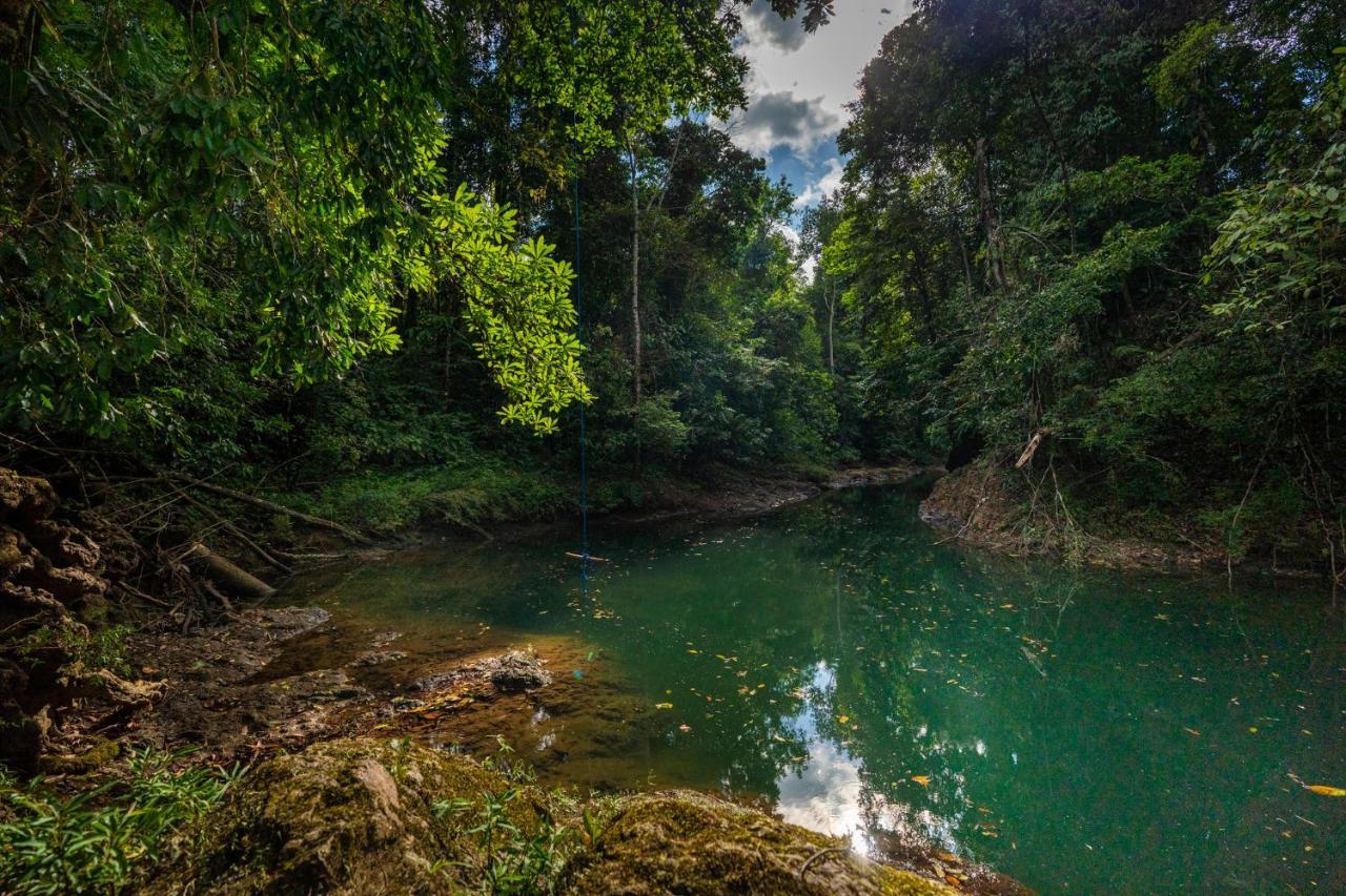 Drake Bay River View 外观 照片