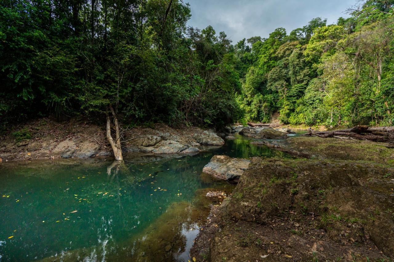Drake Bay River View 外观 照片