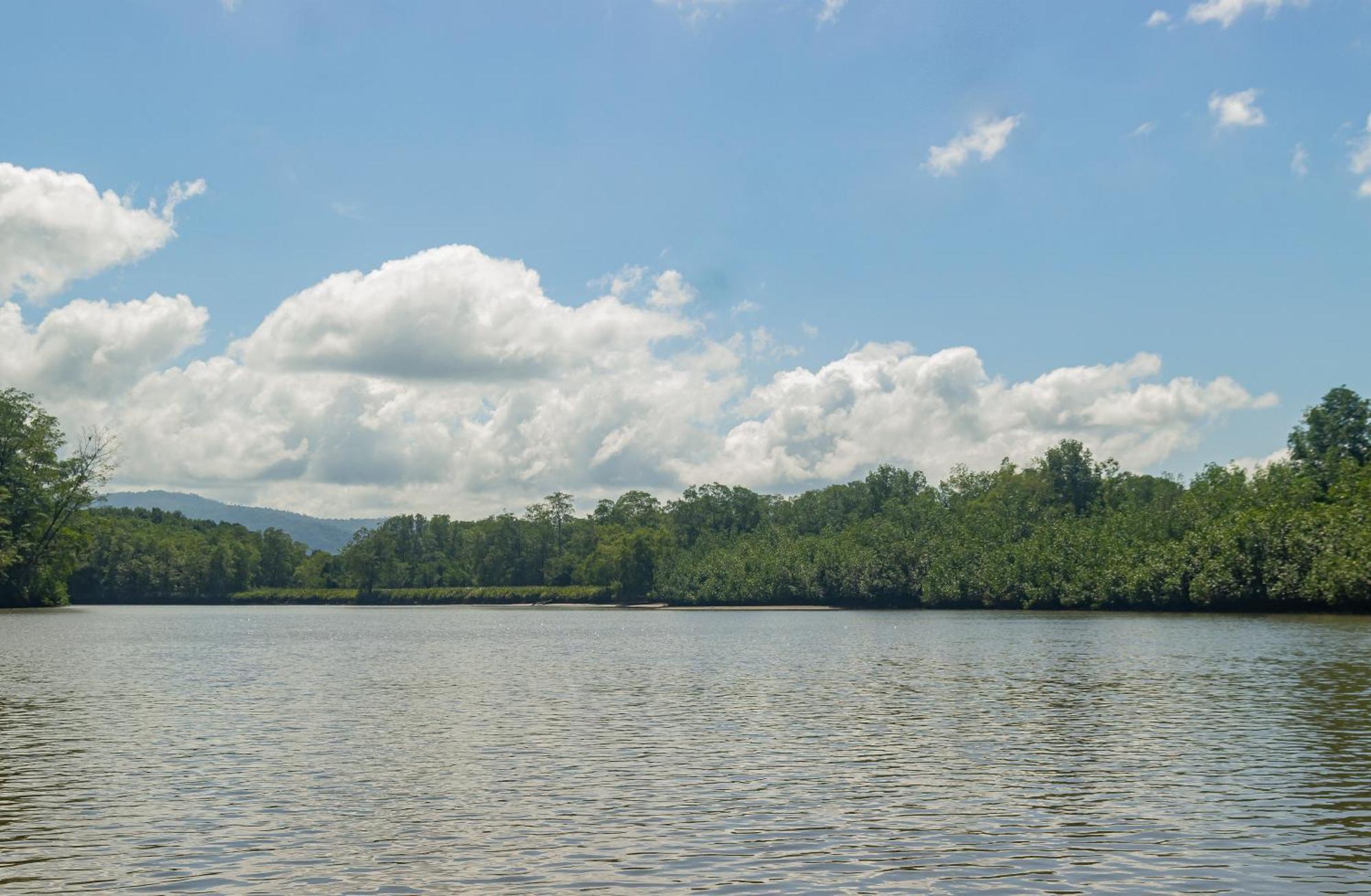 Drake Bay River View 外观 照片