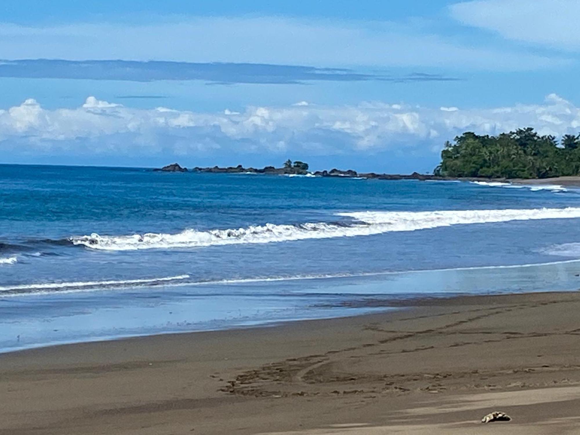 Drake Bay River View 外观 照片