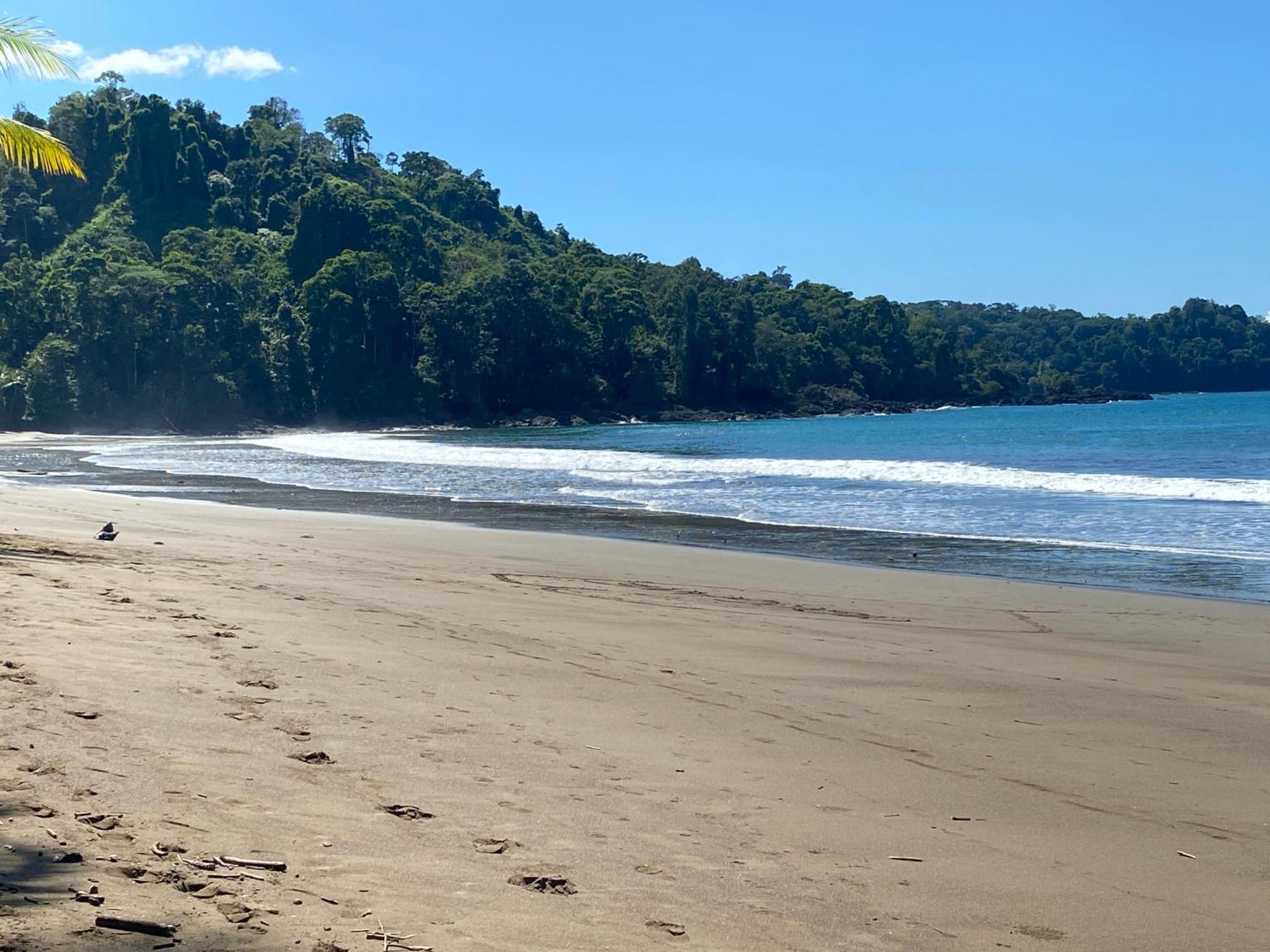 Drake Bay River View 外观 照片
