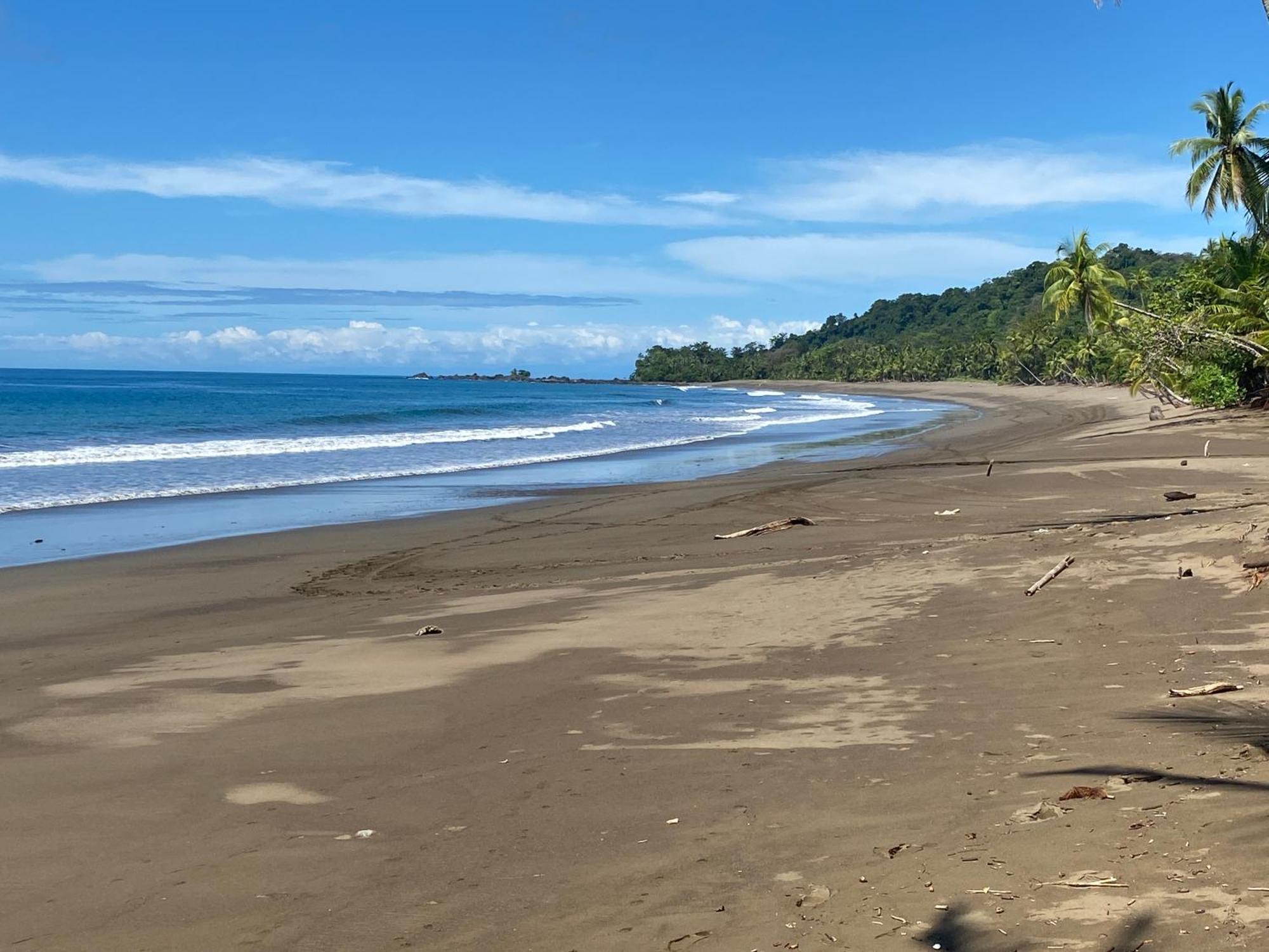 Drake Bay River View 外观 照片