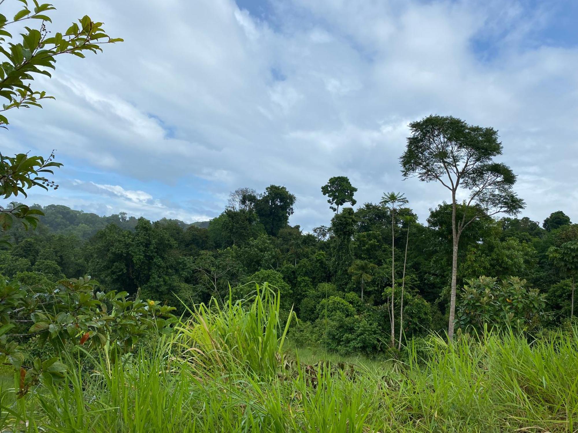 Drake Bay River View 外观 照片