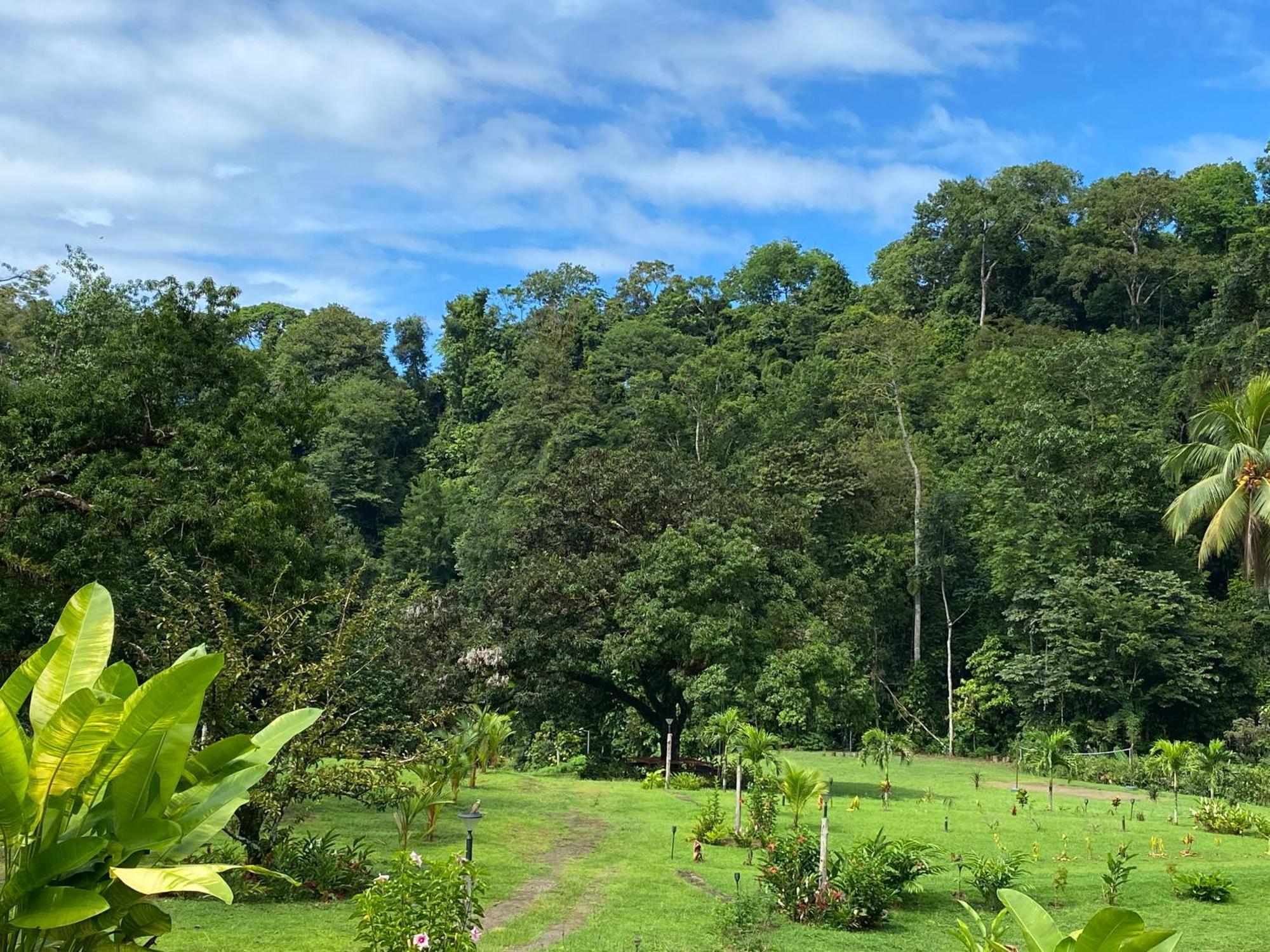 Drake Bay River View 外观 照片