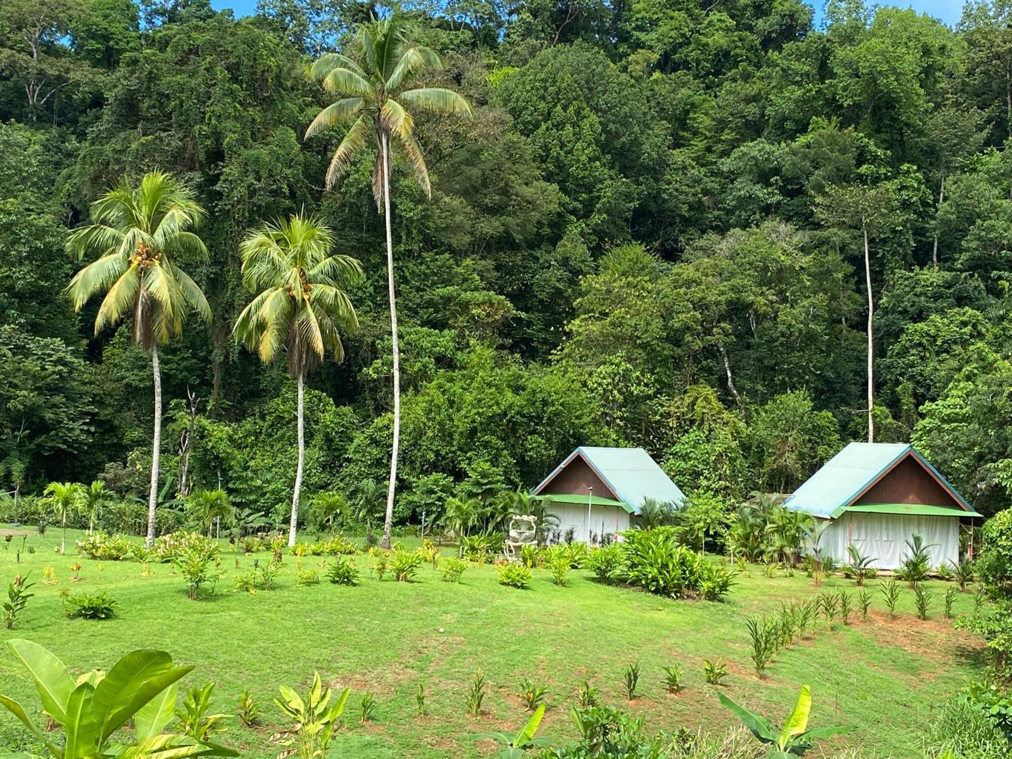 Drake Bay River View 外观 照片