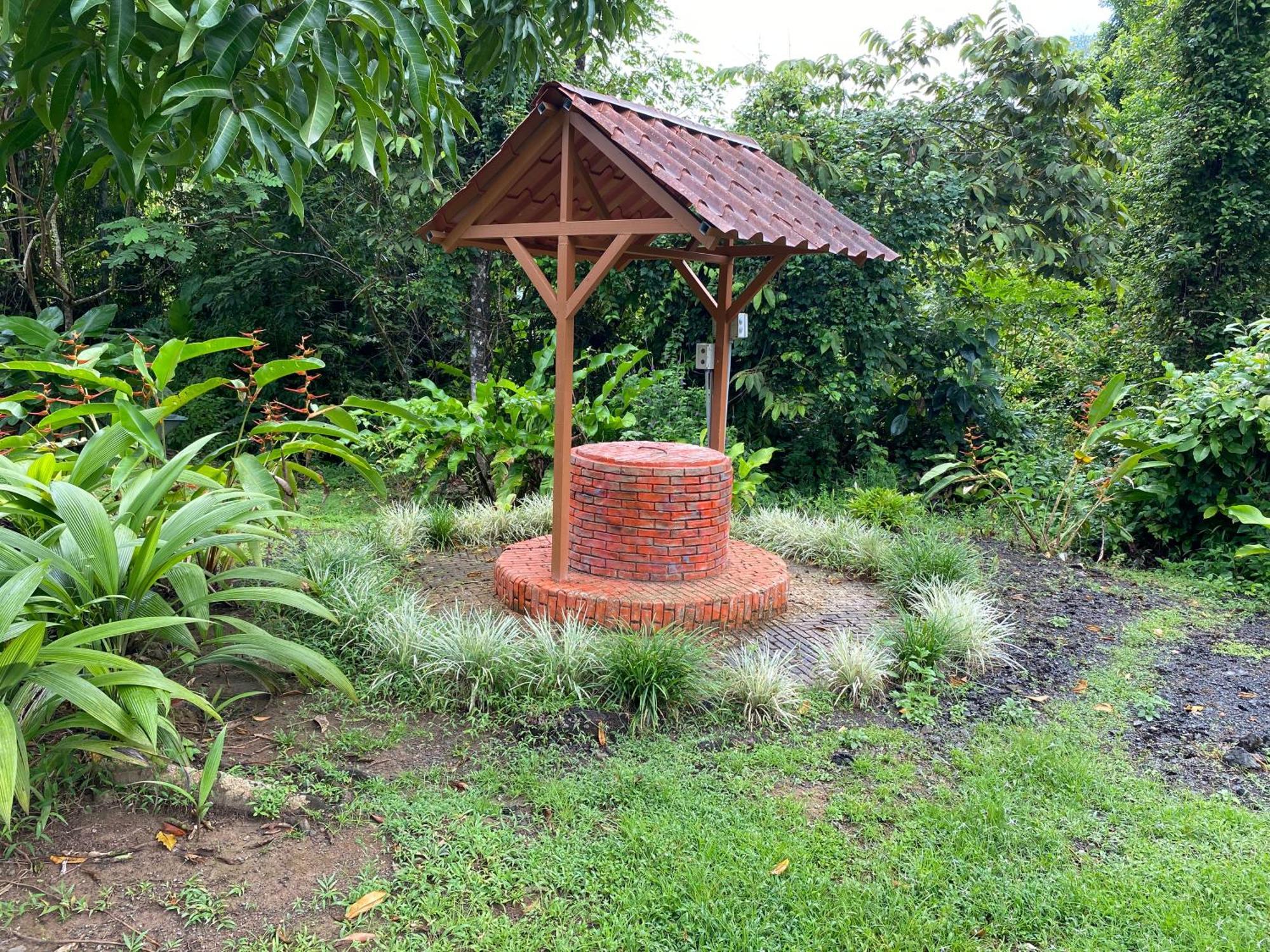 Drake Bay River View 外观 照片