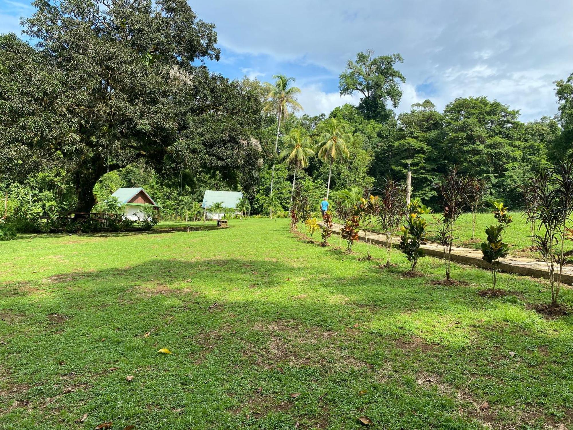 Drake Bay River View 外观 照片