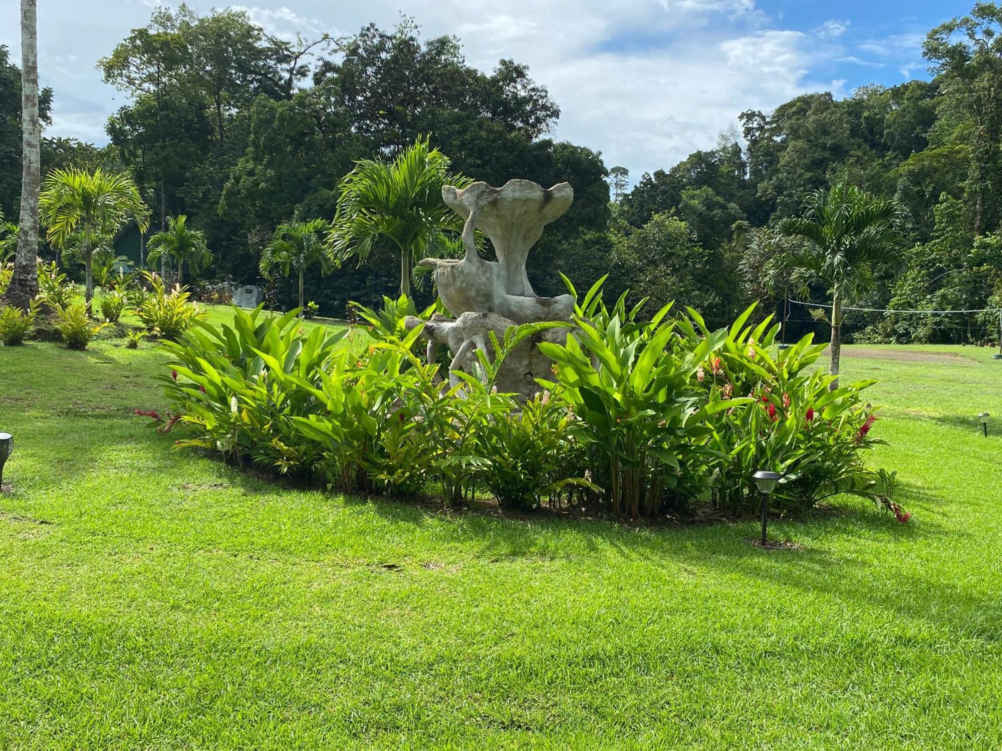 Drake Bay River View 外观 照片