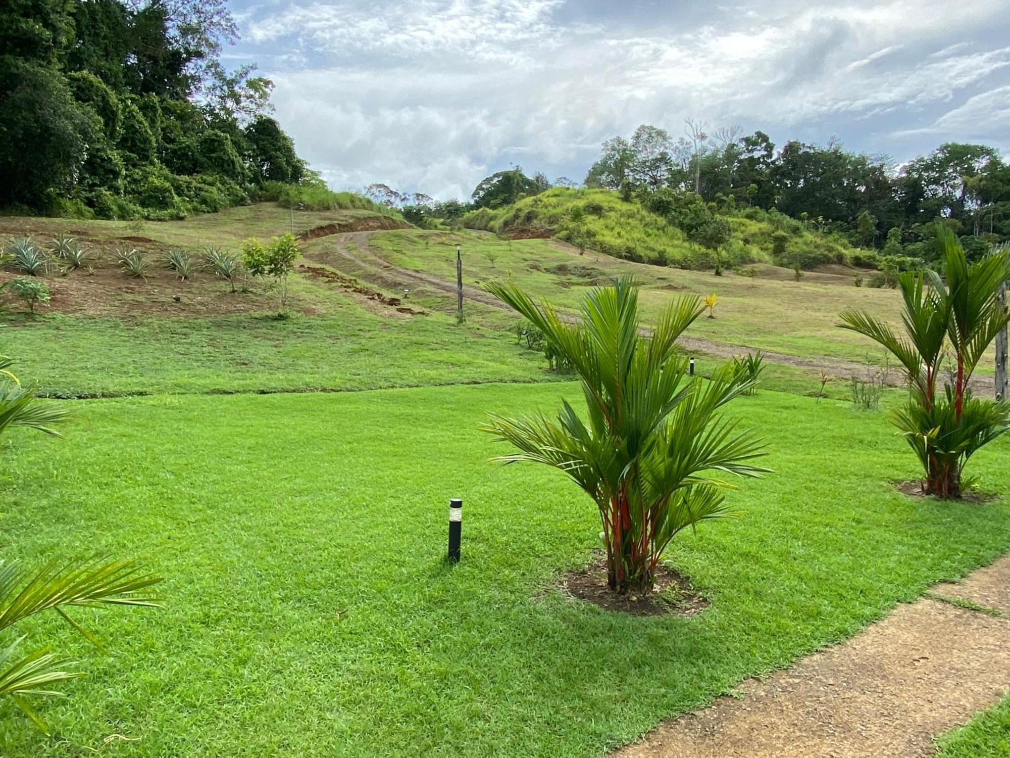 Drake Bay River View 外观 照片