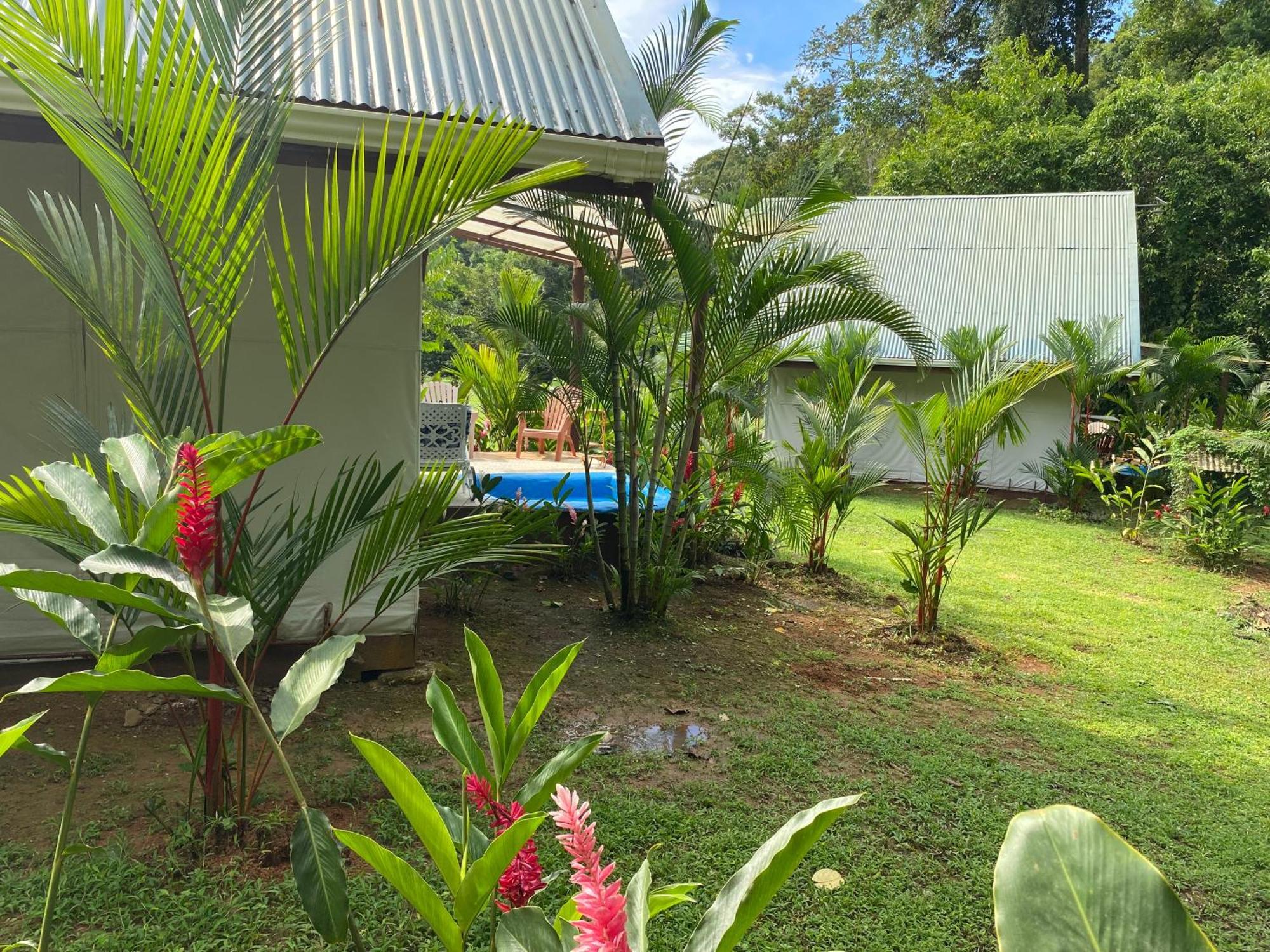 Drake Bay River View 外观 照片